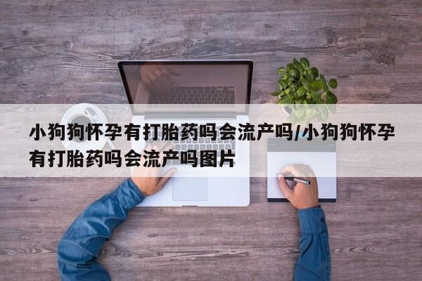 打胎药专卖微信打胎药购买私人微信资讯 第17页