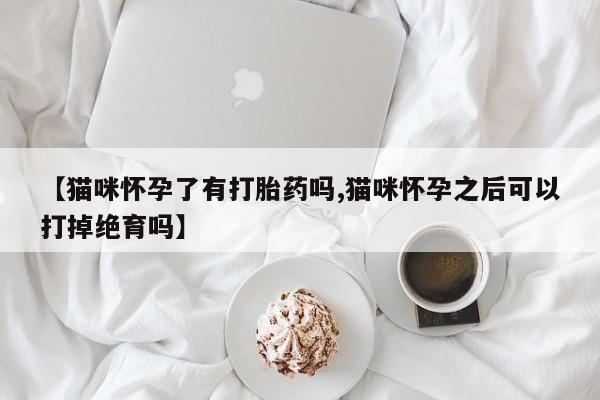 打胎药专卖微信打胎药购买私人微信【猫咪怀孕了有打胎药吗,猫咪怀孕之后可以打掉绝育吗】