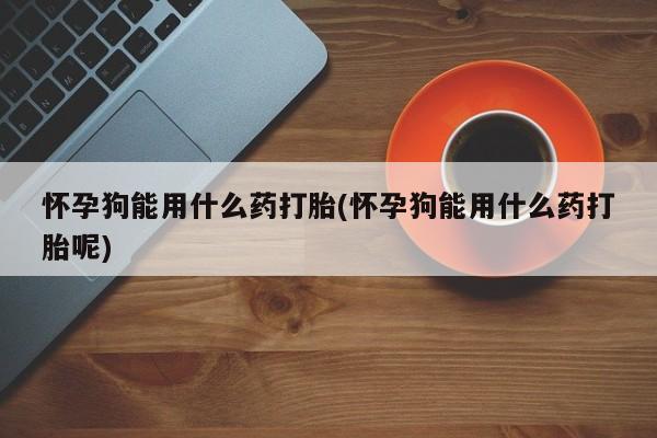 打胎药专卖微信打胎药购买私人微信怀孕狗能用什么药打胎(怀孕狗能用什么药打胎呢)