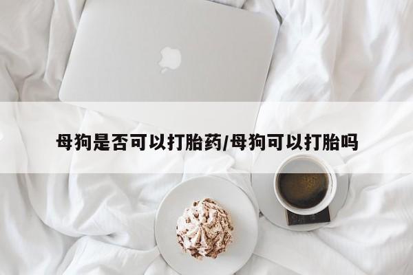 打胎药专卖微信打胎药购买私人微信母狗是否可以打胎药/母狗可以打胎吗